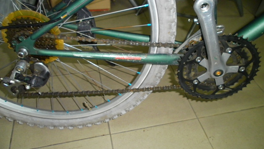 SANY0291.JPG