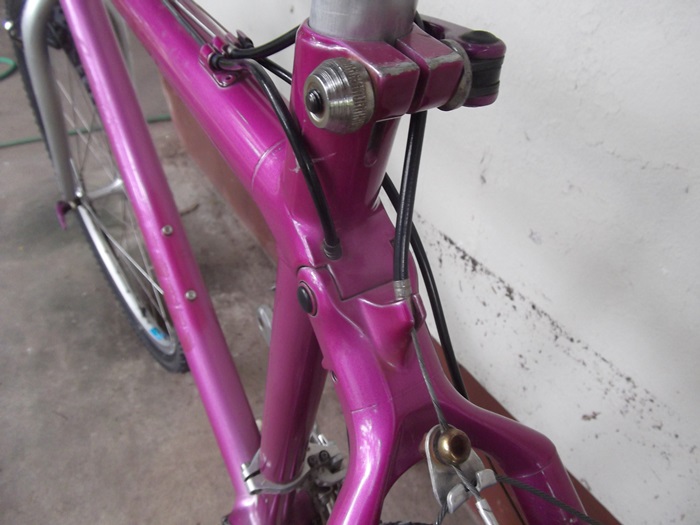 DSCF2245.JPG