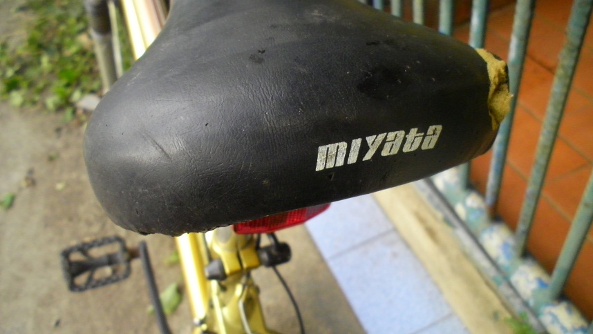 SANY0270.JPG