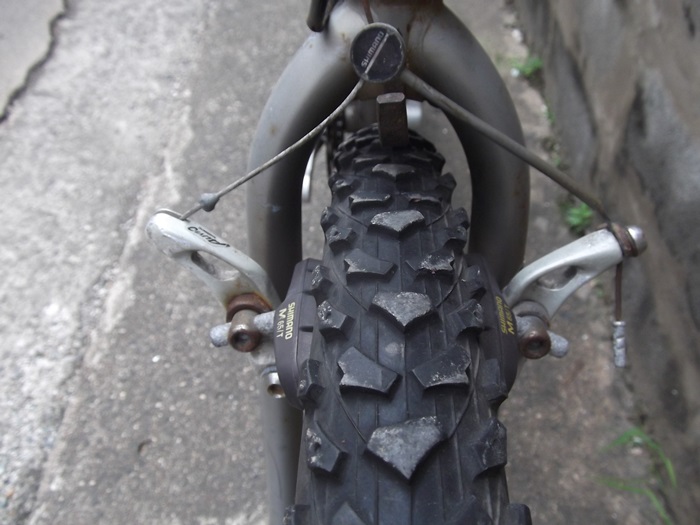 DSCF2559.JPG