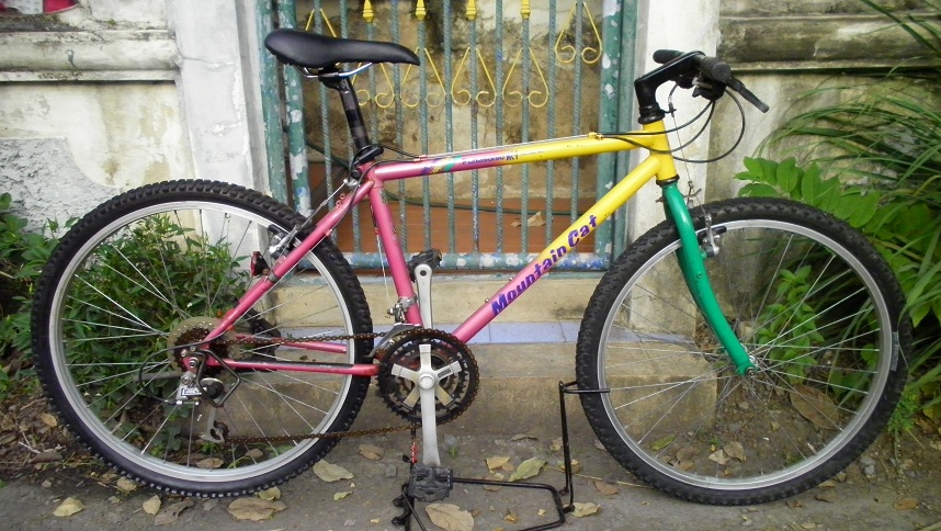 SANY0255.JPG