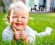 สำรวจการเข้าชม