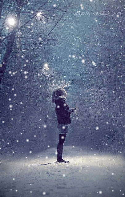 13 - 1-SNOWGLOBE.gif
