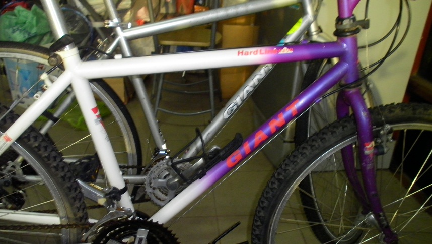 SANY0277.JPG