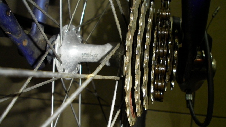 SANY0281.JPG