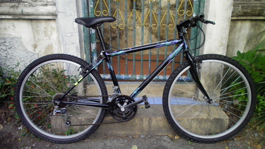 SANY0267.JPG