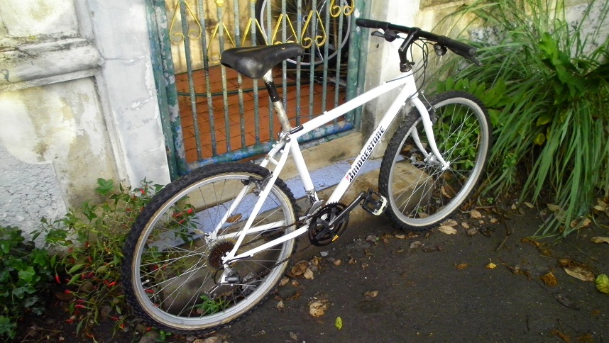 SANY0292.JPG