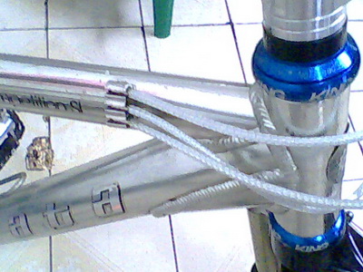 IMG0189A_resize.jpg
