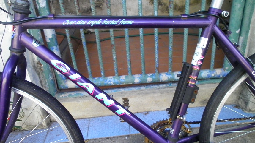 SANY0311.JPG