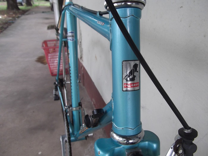DSCF3331.JPG