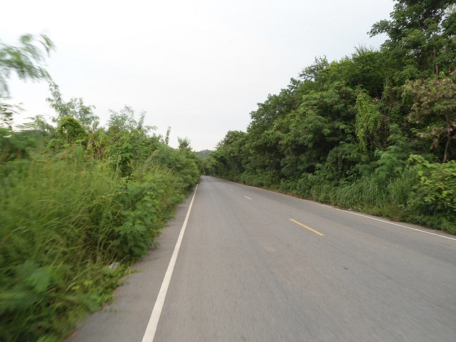 DSC02417.JPG