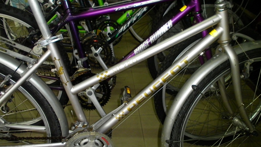 SANY0301.JPG