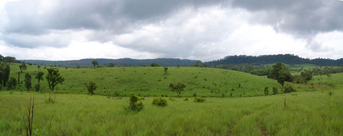 a59.jpg
