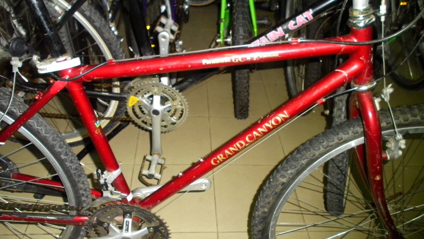 SANY0273.JPG