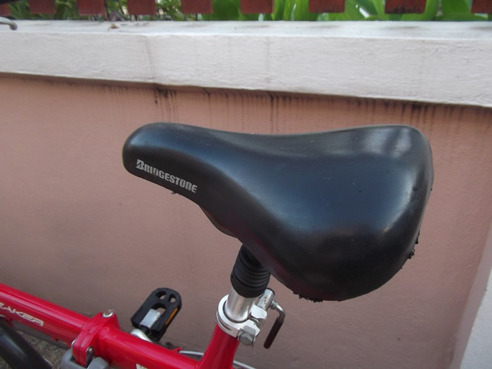 DSCF3603.JPG