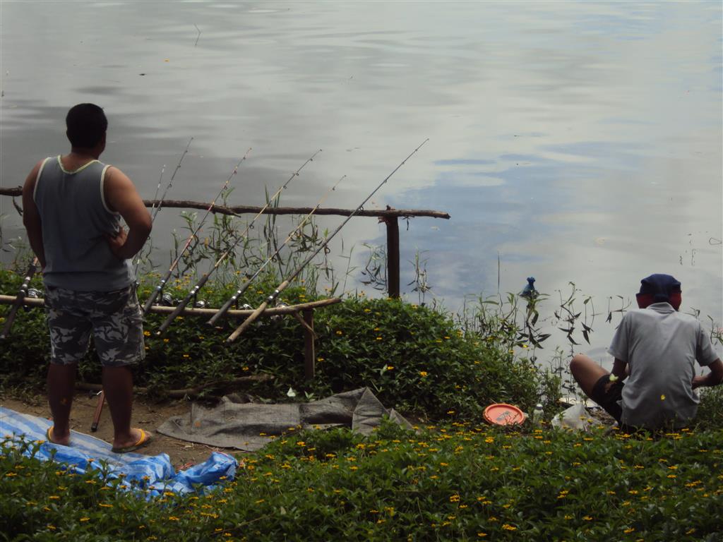 DSC07953 (Medium).JPG