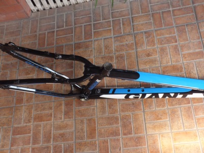 frame giant006.JPG