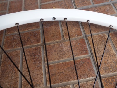 wheel mtb26004.JPG