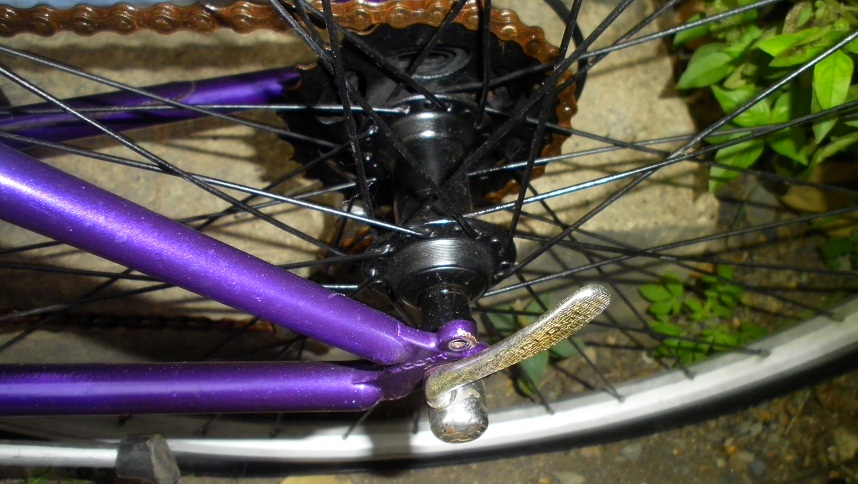 SANY0283.JPG