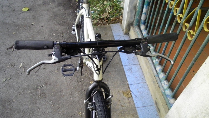 SANY0281.JPG