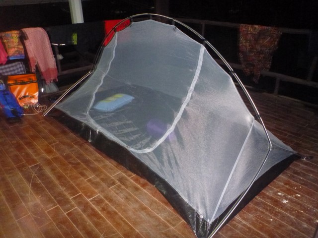 P1070012 (Small).JPG