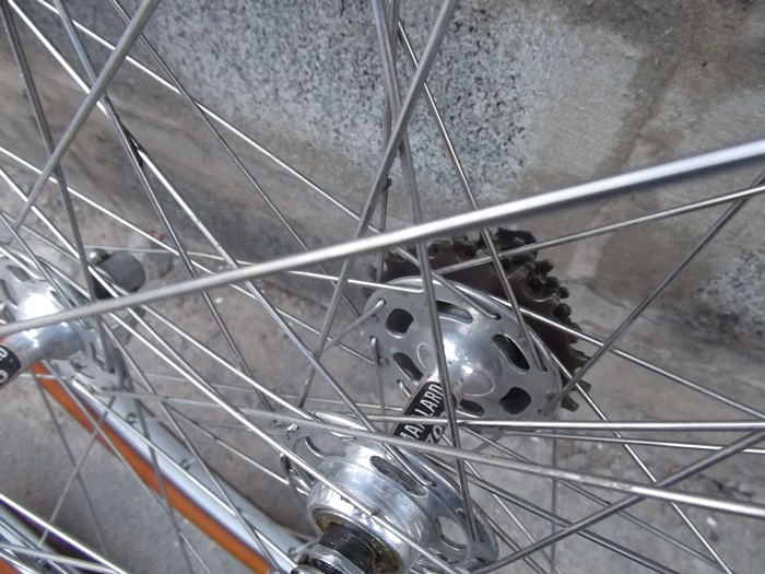 DSCF9767.JPG