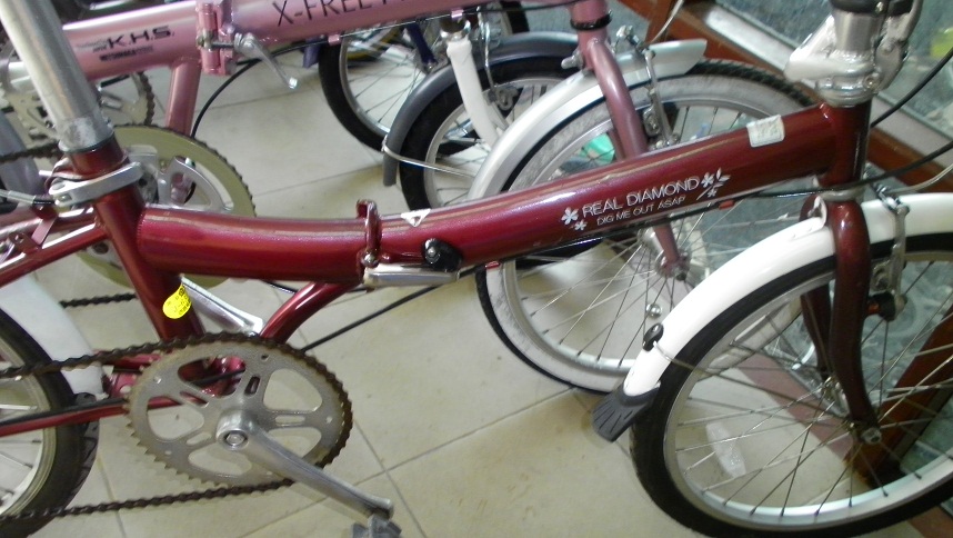 SANY0298.JPG