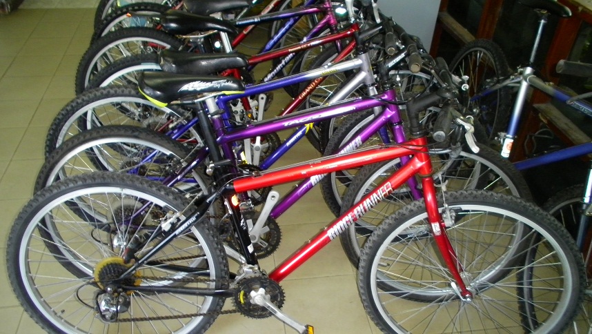SANY0284.JPG