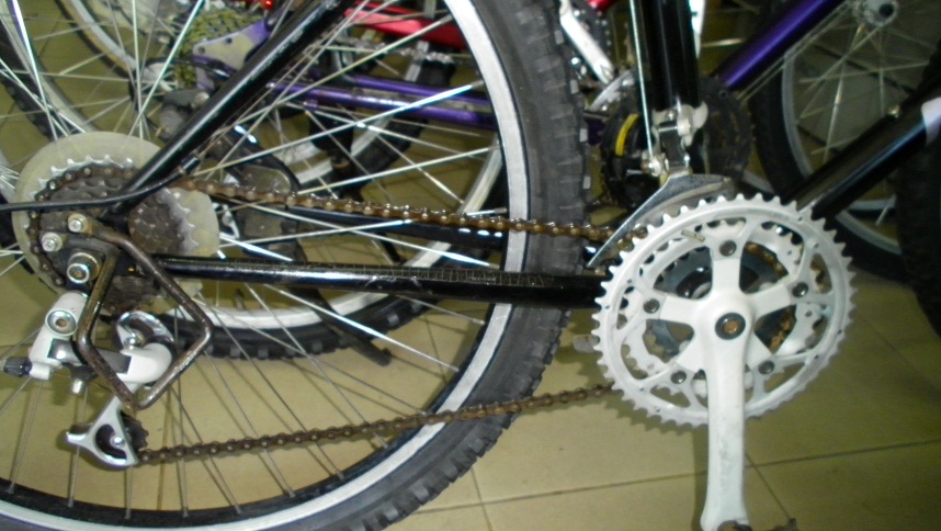 SANY0265.JPG