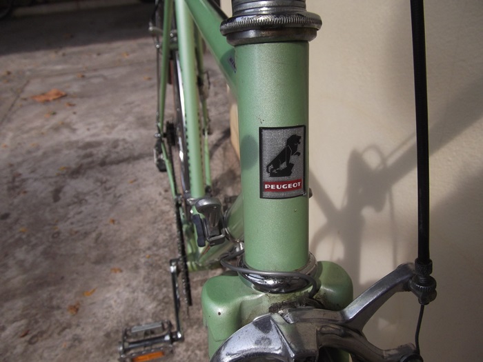 DSCF4198.JPG