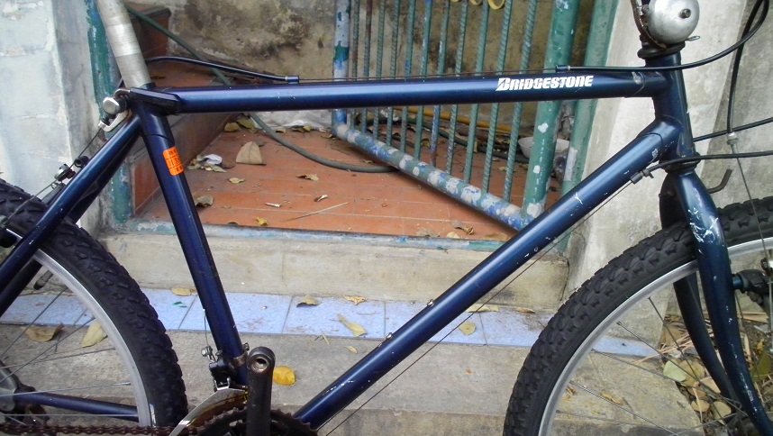SANY0241.JPG