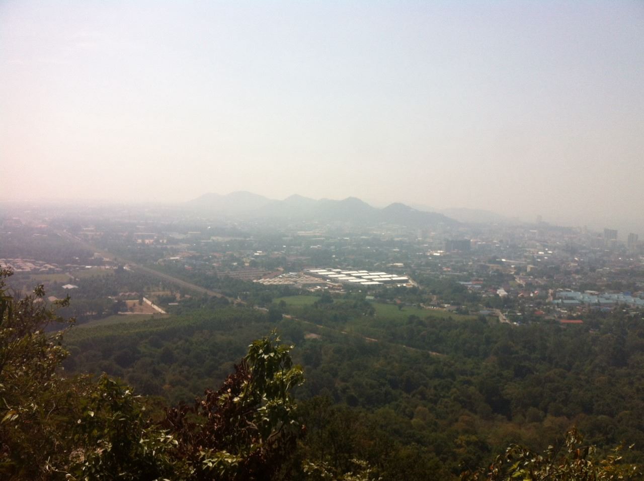 แทรค 1.jpg