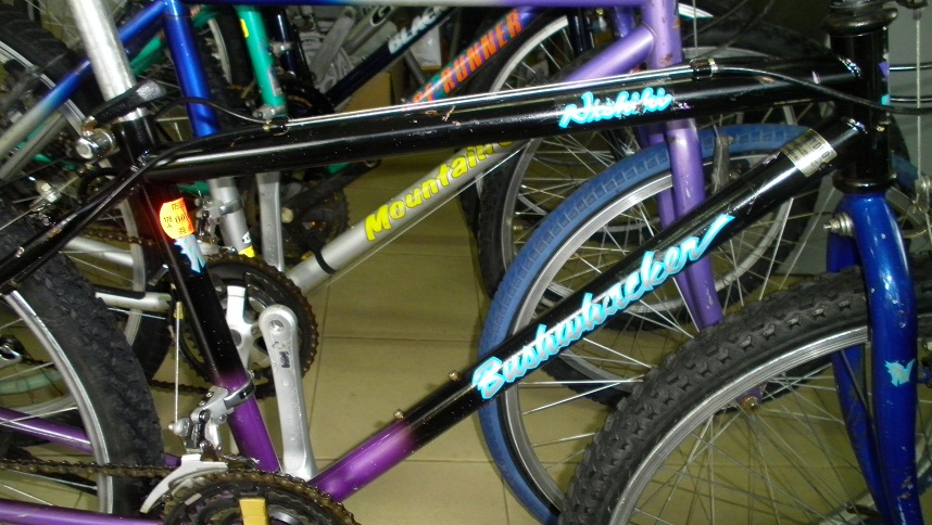 SANY0284.JPG