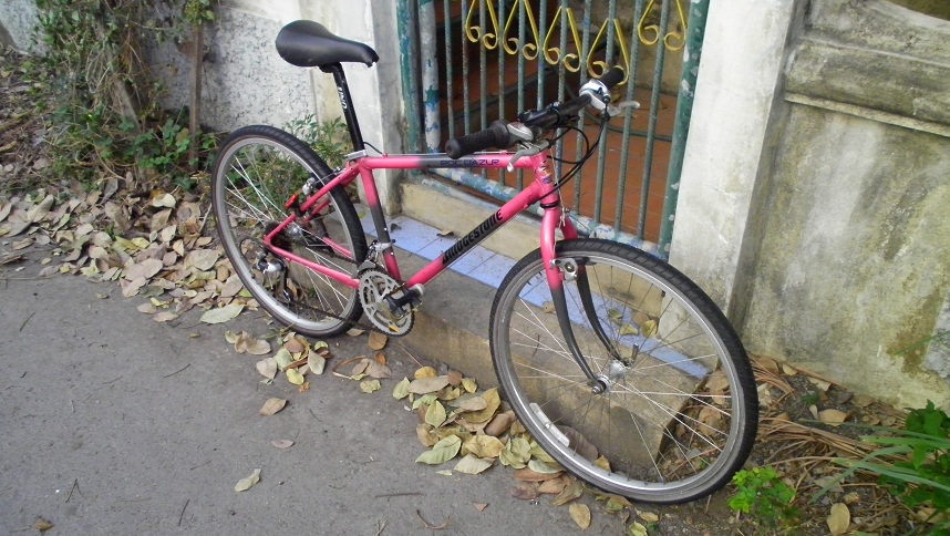 SANY0269.JPG