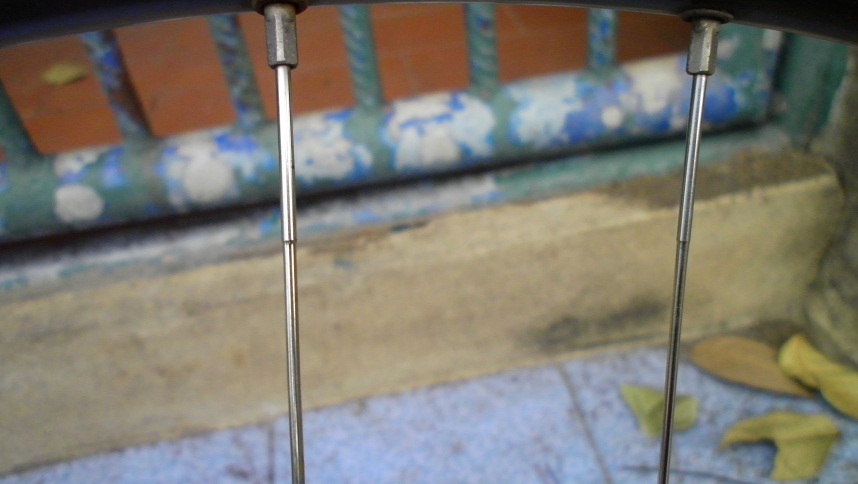 SANY0300.JPG