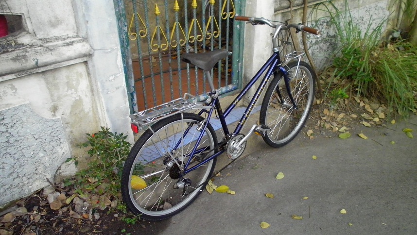 SANY0264.JPG