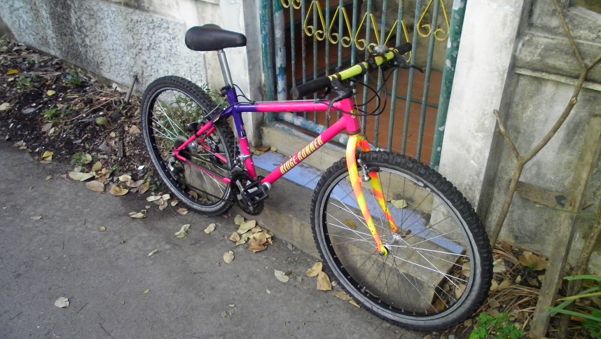 SANY0279.JPG