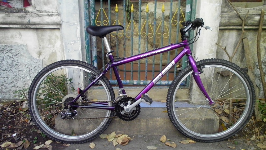 SANY0257.JPG