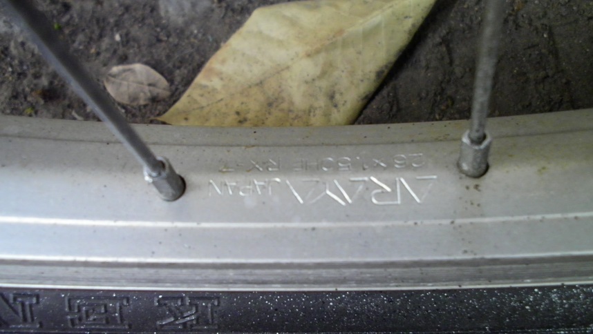 SANY0300.JPG