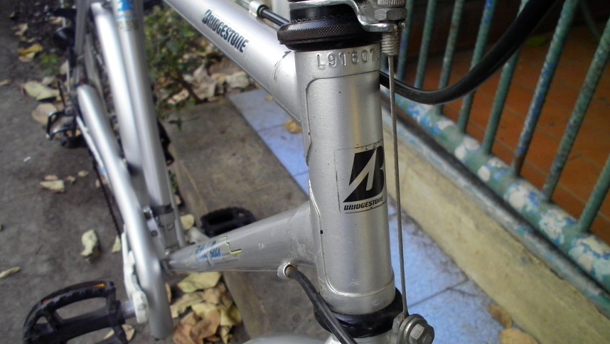 SANY0289.JPG