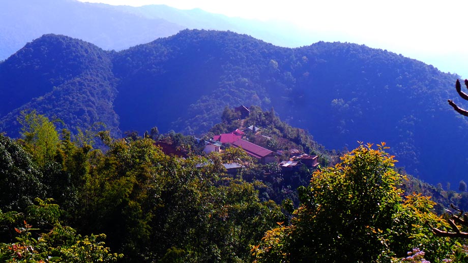 b337.jpg