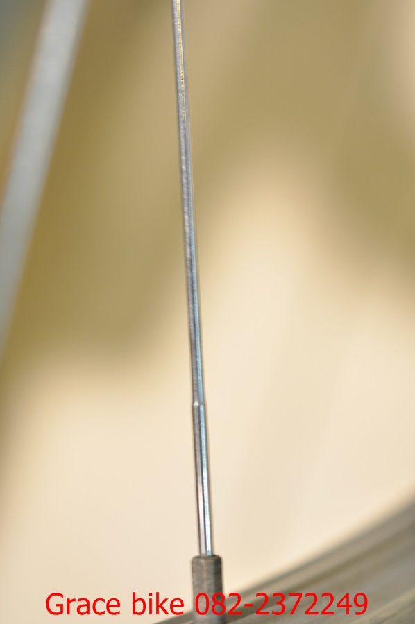 DSC_0106.JPG