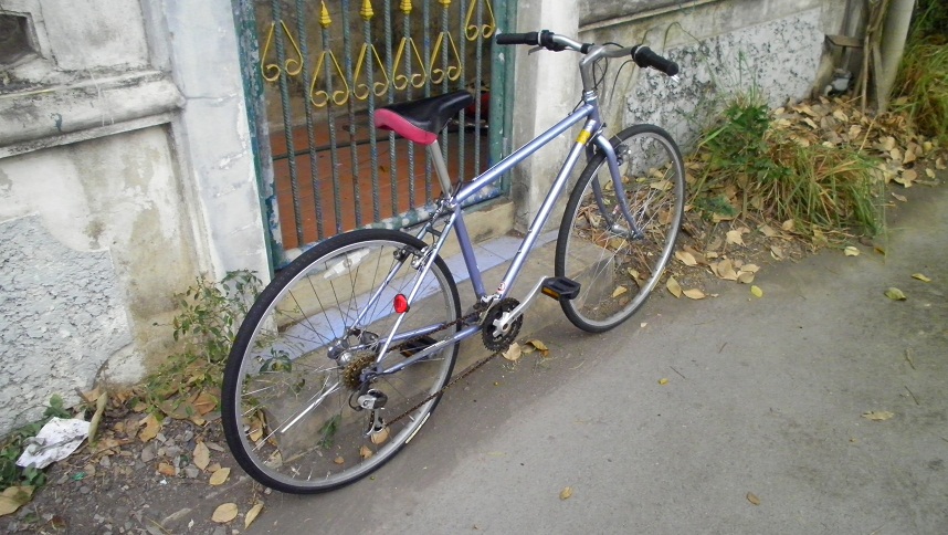 SANY0267.JPG