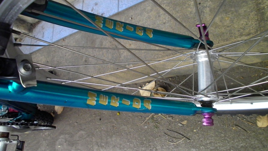 SANY0282.JPG