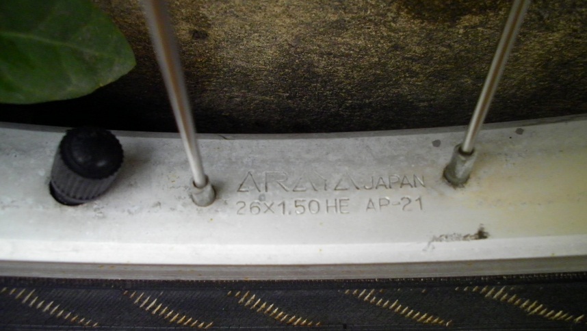 SANY0270.JPG