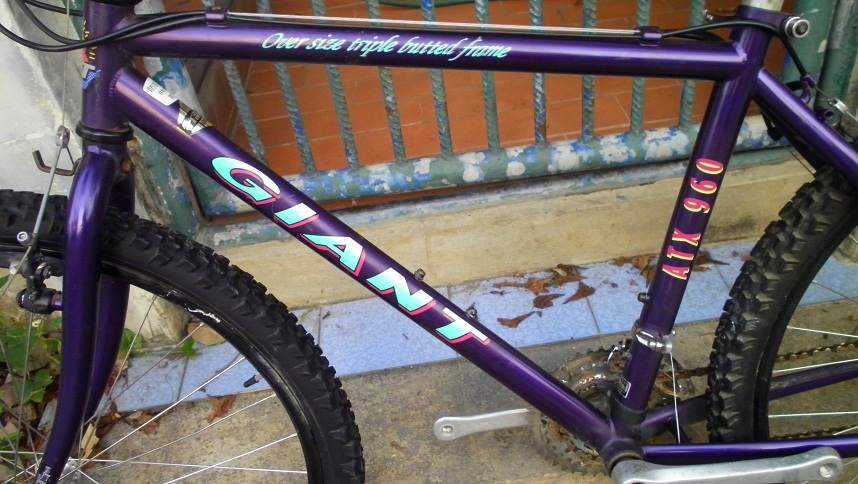 SANY0262.JPG