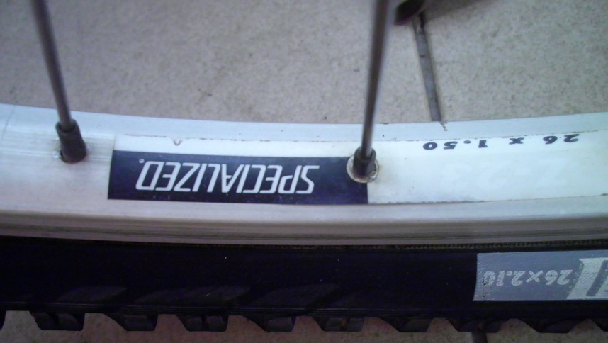SANY0278.JPG