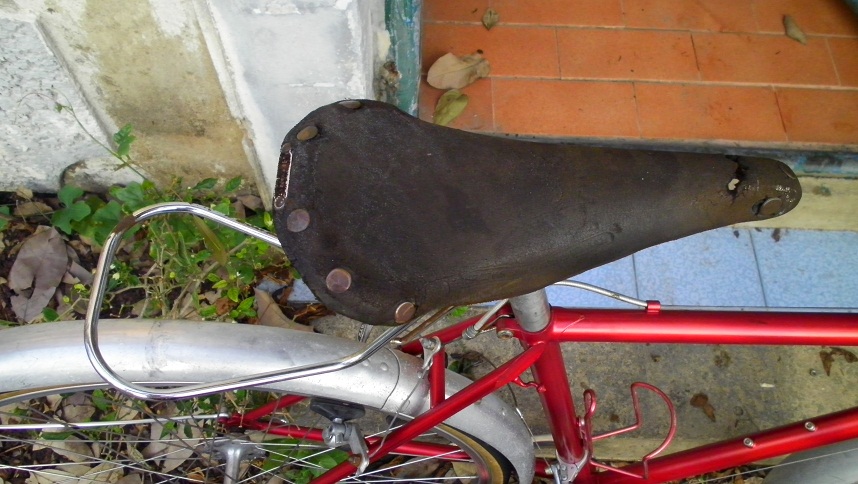 SANY0271.JPG