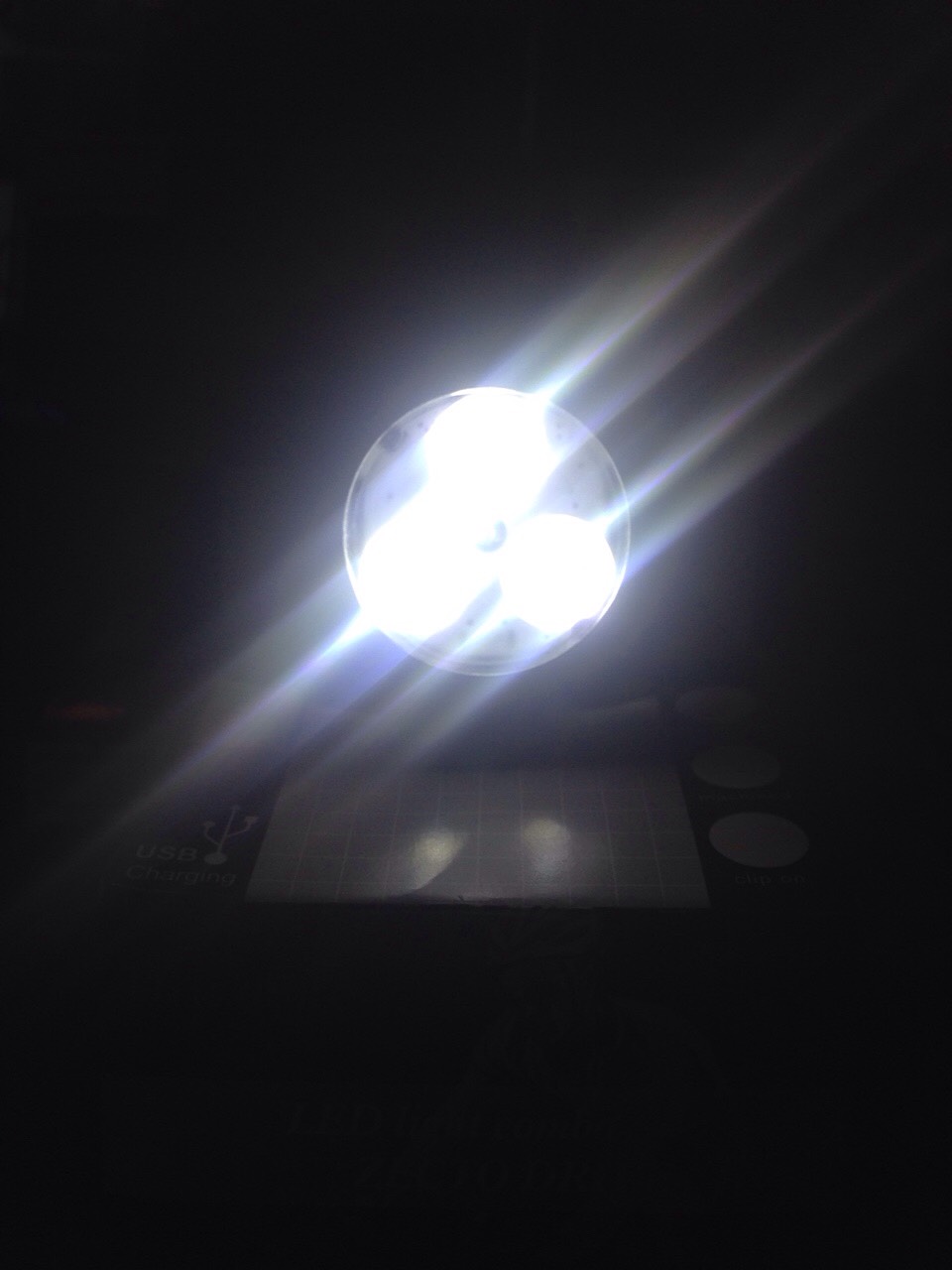 S__4014154.jpg