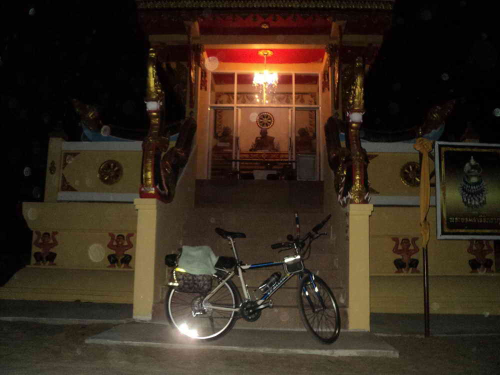 DSC02382_resize.JPG